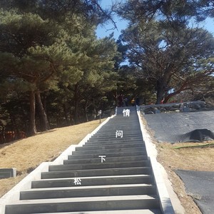 松下问情 (伴奏)