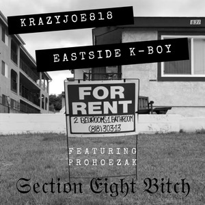 Section Eight ***** (feat. Prohoezak) [Explicit]