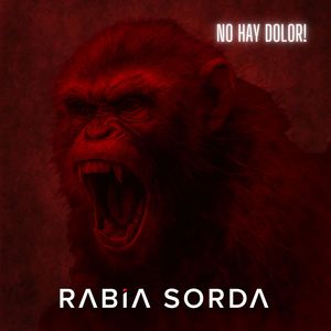 No Hay Dolor! - System Noire (Remix)