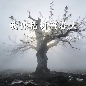 我像枯树等春天