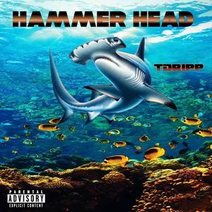 HammerHead (Explicit)