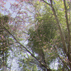 มีคนอยู่