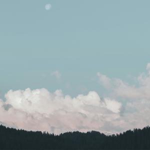 Rêverie, L 76 (with Rain - Sped & Reverbed)