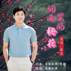 烟雨里的梅花 (男声版)