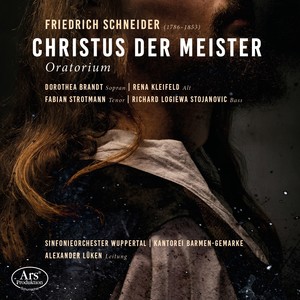 Christus der Meister, Pt. 3 - No. 41, Wo Schmerz und Kummer weinen