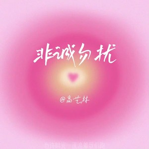 非诚勿扰