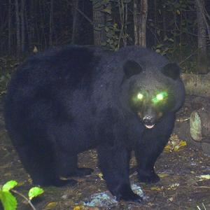 You Must First Answer This Riddle / On My Last Dime* (Explicit)