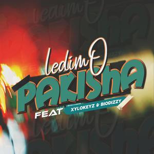 Pakisha (feat. Xylokeyz & Biodizzy)