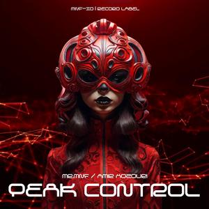 Peak Control (feat. Amir Hozouri)