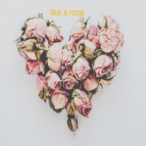 Like A Rose