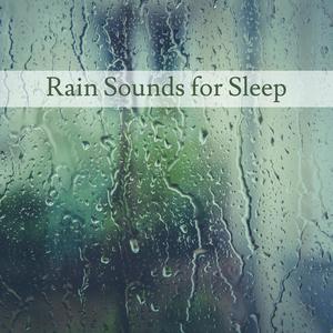 Sleeping Rain Sound