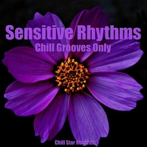 Sensitive Rhythms (Chill Grooves Only)