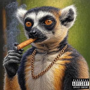 MADAGASCAR FLOW (Explicit)