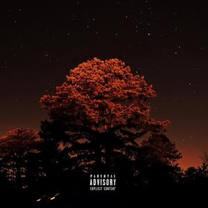 Fall Night (Explicit)