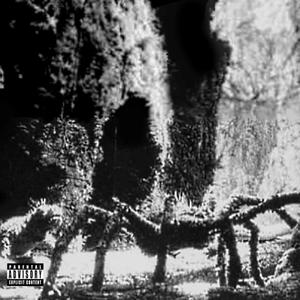 Bug Bite (feat. Zooka) (Explicit)