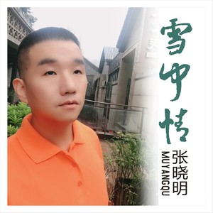 雪中情封面