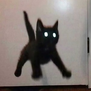 一个人的圣诞节