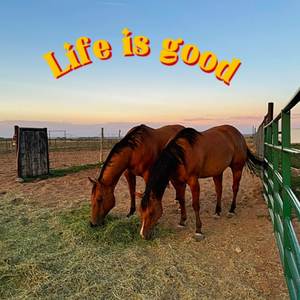 Life Is Good (Explicit)