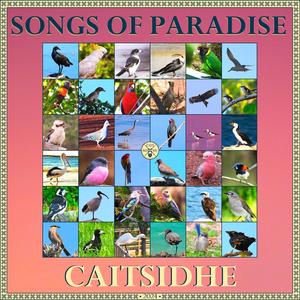 SONGS OF PARADISE (Explicit)