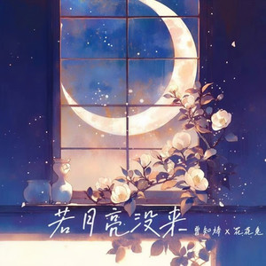 若月亮没来