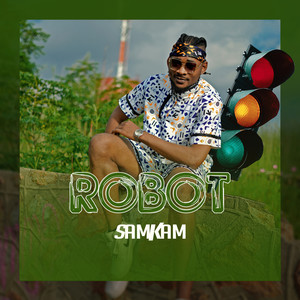 Robot (Explicit)