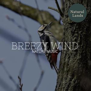 Breezy Wind - Nature Music