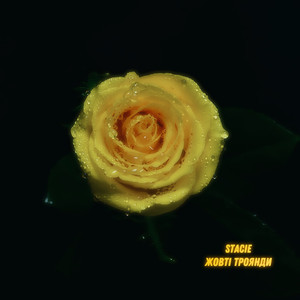 Жовті Троянди