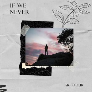 If We Never