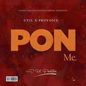 Pon Me (feat. Provoice)