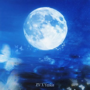 每个我睡不着的夜