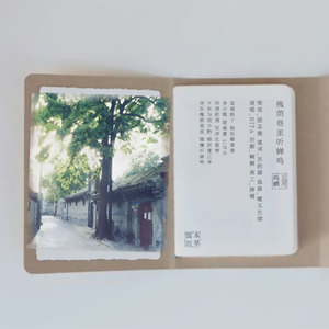 槐荫巷里听蝉鸣