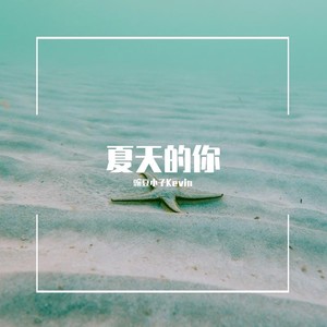 夏天的你