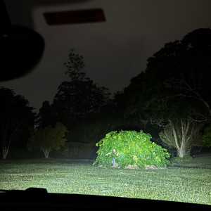 perdón por pedir permiso