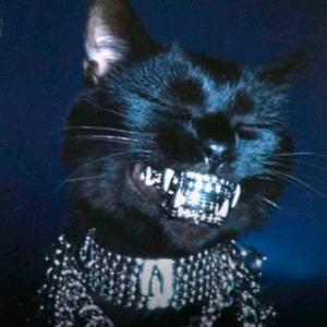 FREESTYLE12 (Explicit)