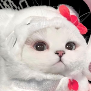 Scarlett - 青花瓷 (DJ版)