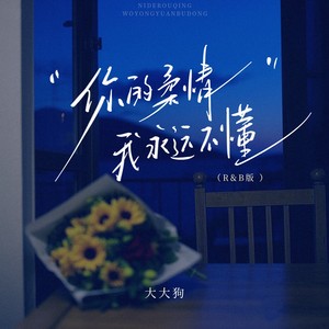你的柔情我永远不懂 (R&B版)