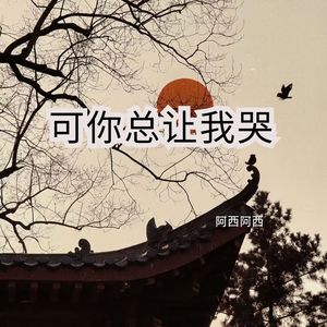 阿西阿西 - 海风总是洒脱