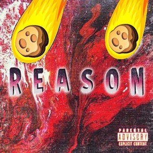 Reason (Explicit)