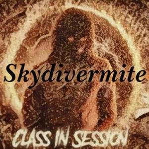 Skydiving101: Class In Session, Vol. 1 (Explicit)