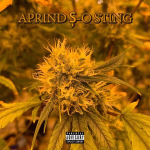 Aprind ș-o sting (feat. Vlad Z & Creiss) [Explicit]