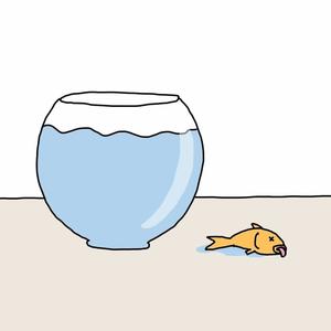 Comfort Zone