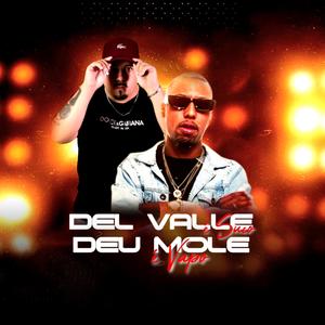 Del Valle é Suco, Deu Mole é Vapo
