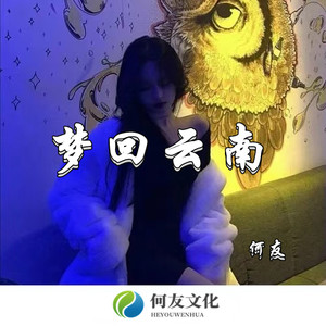 何友 - 云与海 (DJ版)