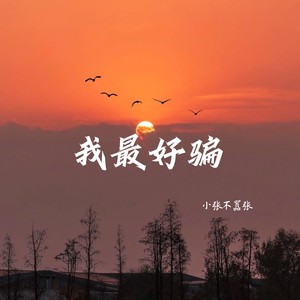 我最好骗