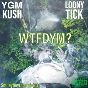 WTFDYM? (feat. Loonytick Reese) [Explicit]