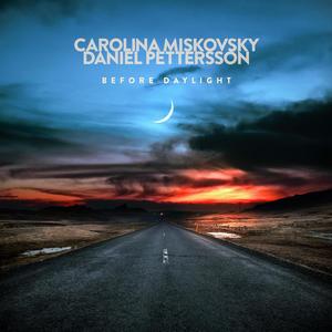 Den långa vägen hem