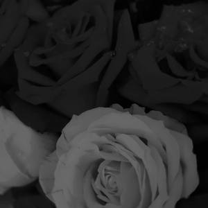 ZJC forever(prod by 才仁青普力)