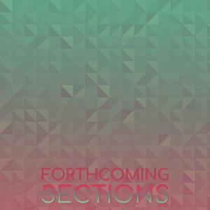 Forthcoming Sections