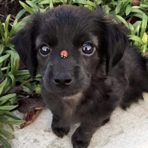 Trust (feat. Boosie Badazz) (Explicit)