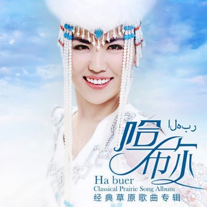 马兰花封面